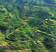 Luxury Custom Made Tours In The Philippines Banaue Banaue Rice Terraces Places To Visit
