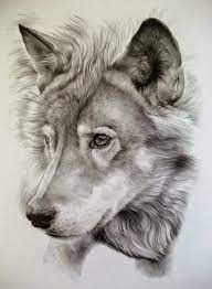 Awesome Pencil Drawing Photos Bilder Land Pencil Drawings Of Animals Animal Art Art