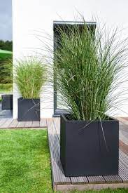 Pflanzkubel Wurfel Fur Den Garten Pflanzkubel Anthrazit Pflanzkubel Bepflanzung