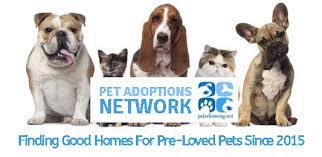 There's never a visit fee, and you'll earn pals rewards with each. Private Atlanta Pet Rehoming Services Rehome A Dog Cat Puppy Kitten In Atlanta Ga