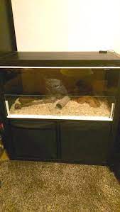 Kallax Vivarium Ikea Hackers Vivarium Ikea Bearded Dragon Enclosure