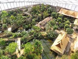 Gondwanaland Zoo Leipzig The Zoo Tierlebensraume Zoologischer Garten