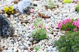 En aménagement extérieur ou intérieur, le galet blancs pour jardin, est idéal pour réaliser : Galet Blanc Utilisations Pose Et Entretien Ooreka