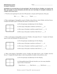 Incomplete Dominance And Codominance Worksheet Answer Key Practices Worksheets Graphing Worksheets Math Answers