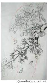 Blossom Drawing Blossom Tree Tattoo Tree Tattoo Black Cherry Blossom Tree Tattoo