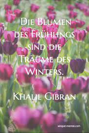 Winpat Mental Coaching Training Mehr Herz Weniger Kopf Blumen Zitate Blumen Spruch Khalil Gibran Zitate