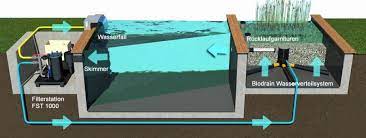 Naturpool Filtersystem Schwimmteich Naturschwimmbecken Pool