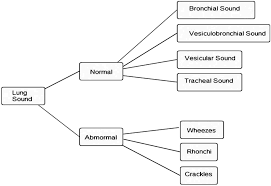 Sensors Free Full Text Using K Nearest Neighbor Classification To Diagnose Abnormal Lung Sounds Html