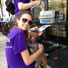 Barc Houston Volunteer Opportunities Serve For Good