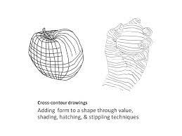 Cross Contour Drawings Middle School Art Projects Contour Drawing Art Worksheets