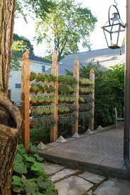 Den Uppigen Sichtschutz Im Garten Akzentuieren Sichtschutz Garten Vertikaler Garten Diy Vertikaler Krautergarten