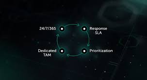Enterprise Premium Support Kaspersky