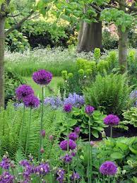 Pin Von Will Metge Auf Things For The Garden Garten Bepflanzen Schattengarten Pflanzen