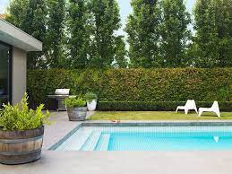 12 Resort Style Pool Designs Pool Landscaping Backyard Pool Landscaping Pool Designs