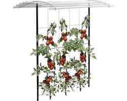 Tomatendach Sinus 120 X 80 Cm Tomaten Dach Wohnen Und Garten Tomatenhaus Selber Bauen