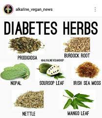 Diabetes Herbs Herbs Healing Herbs Herbalism