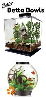 Betta Fish Tank Setup Ideas That Make A Statement Spiffy Pet Products Betta Fish Betta Fish Tank Betta