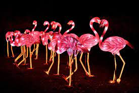 Ces plantes n'ont pas besoin de beaucoup de lumière. Festival Des Lumiere Au Jardin Des Plantes Jusqu Au 15 Janvier 2019
