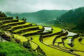 Account Suspended Banaue Rice Terraces Banaue Cool Places To Visit