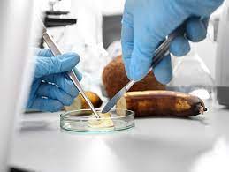 It's likely you'll also be involved in developing the manufacturing processes and. About Food Science And Technology Ift Org