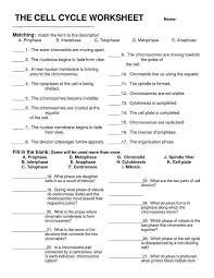 Cell Division And Mitosis Worksheet Answer Key Or The Cell Cycle Worksheet Fresh 73 Best Biology Cell Divisi Biology Worksheet Teaching Biology Biology Lessons