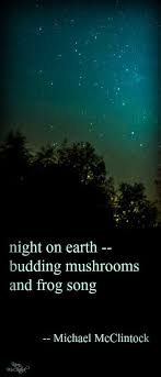 Haiku Poem Night On Earth By Michael Mcclintock Nature Haiku Haiku Poems Nature Quotes