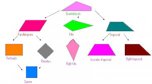 Polygons And Quadrilaterals Whats The Differece Teaching Quadrilaterals Quadrilaterals Math Geometric Shapes
