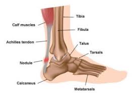 Activities such as walking, running or jumping places stress on the. How To Beat Achilles Tendon Pain The Best Exercises To Prevent It And Treat Fast If It Does Strike By Dan Golding Medium