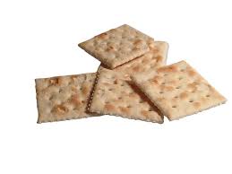 Cockatiels can eat crackers, except they make them put on weight. Can Dogs Eat Saltine Crackers Saltine Crackers And Dogs