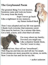 The Greyhound Poem This Just Made Me Tear Up And Have To Go Hug My Greyhound 3 Grey Hound Dog Greyhound Greyhound Rescue