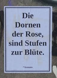 Die Dornen Der Rose Sind Stufen Zur Blute The Thorns Of The Rose Are The Steps To The Blossom Azmuto Found In Mi German Quotes Poems Beautiful Words