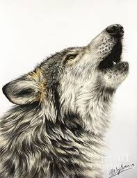 Howling Wolf Drawing Available As Art Or Printed Onto Gifts Wolf Art Print Wolf Howling Howling Wolf Tattoo