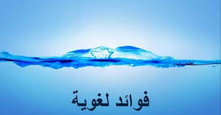 من طرائف اللغه العربية ميديا بلوس تونس