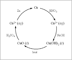 The Ecology Of Hope Lab 1