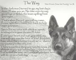 Rip Chalupa Happy Birthday Just Plum Crazy Dog Poems Dog Quotes Pet Remembrance