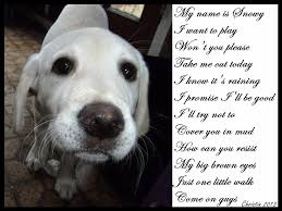 Christin S Poems About Love And Life Animal Poems Love Poems Dogs