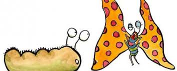 Tutte Le Fiabe Che Parlano Di Metamorfosi Ti Racconto Una Fiaba