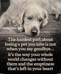 Pin On Dog Poems Pit Bull