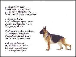 Beautiful German Shepherd Print As Long As Forever Art Poem Photo Picture New Dog Poems Dog Lover Quotes German Shepherd
