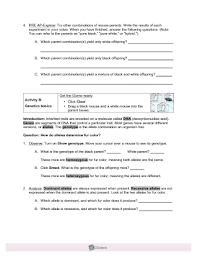 This is a customized student exploration sheet to be used as. Mousegenetics Student Page Becker Doc Pdf