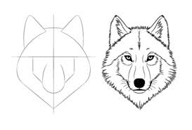 How To Draw A Wolf Face Head Step By Step Wolf Face Drawing Wolffacedrawing This Tutorial Explains How In 2021 Wolf Face Drawing Drawing Tutorial Easy Wolf Face