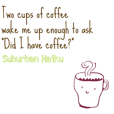 Suburban Haiku The Book A Review And Giveaway Funny Haiku Funny Haiku Poems Haiku Poems
