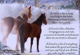 A Friend Horses Horse Wallpaper Horse Quotes