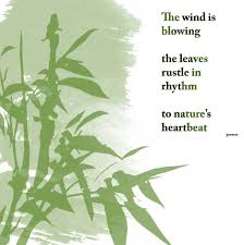 Pin By Meenakshi Grover On Quote Haiku Haiku Poems Nature Haiku