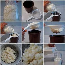 Kefir Selber Machen Das Rezept Auf Rezept Kefir Selber Machen Kefir Kefirknollen