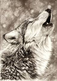 Howling Wolf By Ambr0 On Deviantart Pencil Drawings Of Animals Animal Drawings Wolf Howling