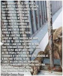 Saddest Poem Ever Please Adopt A Shelter Animal Advocate For Them By Spreading The Word That Shelter Dogs Need Love T Shelter Dogs Dog Poems Animal Rescue