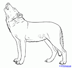 How To Draw Howling Wolves Howling Wolf Step By Step Forest Animals Animals Free Online Drawing Tutorial Adde Wolf Howling Wolf Drawing Wolf Drawing Easy