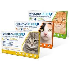 Find out which pests the product protects against and side effects you should know about. Revolution Plus For Cats Kills Fleas Heartworm Preventative Vetrxdirect