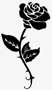Black And White Pattern Of Roses Black White Roses Png Transparent Clipart Image And Psd File For Free Download Black And White Rose Tattoo White Rose Tattoos Black Rose Tattoos